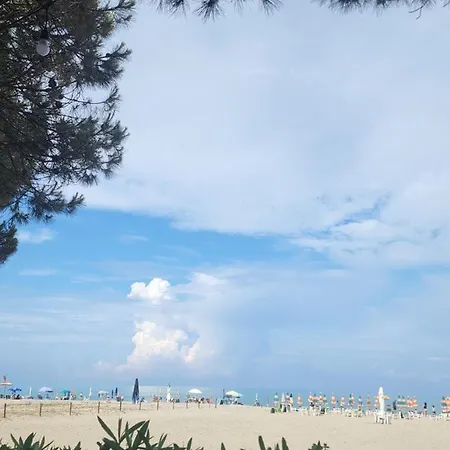 Pinetrees House With Swimming Pool 格勒姆