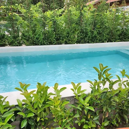 Pinetrees House With Swimming Pool * Голем