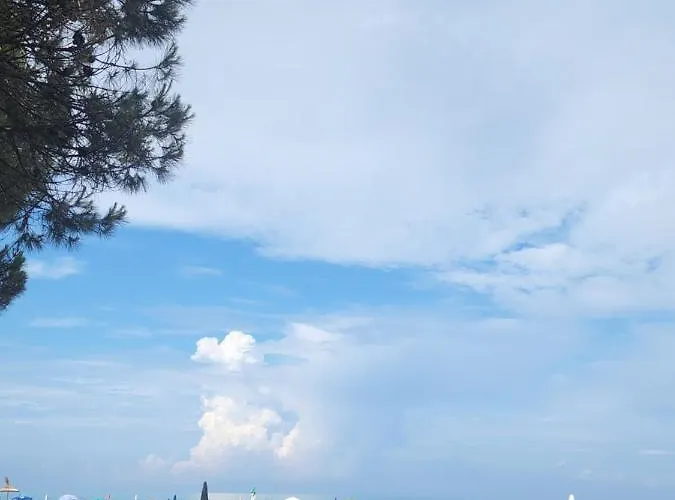 Pinetrees House With Swimming Pool Golem (Tirana)